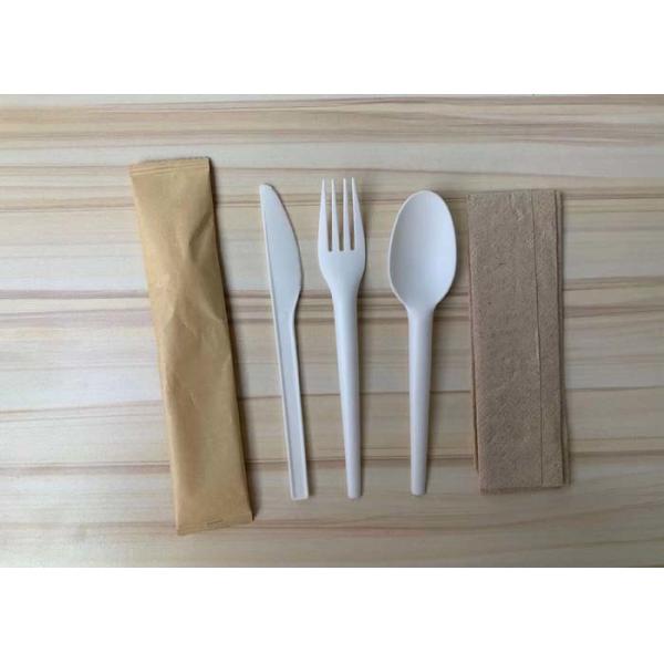 Quality Compostable Cornstarch Disposable Cutlery Kit With Napkin for sale