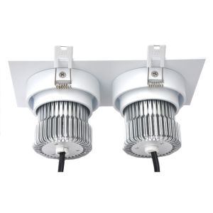 Double Heads LED Downlight