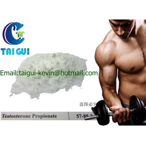 Buy cheap Testosterone Propionate Test Propionate CAS NO:57-85-2 from wholesalers