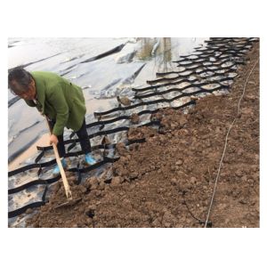 Buy cheap Smooth Plastic HDPE Geocell Confinement System from wholesalers