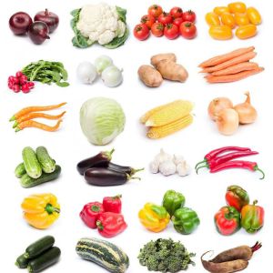 Buy cheap Electric Fruit Vegetable Processing Machine Kitchen OEM ODM  1.75L from wholesalers