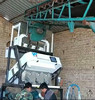 Buy cheap Rice Peanuts Bean Plastic Grotech Macadamia Seed Taiho Color Sorter Machine Meyer from wholesalers