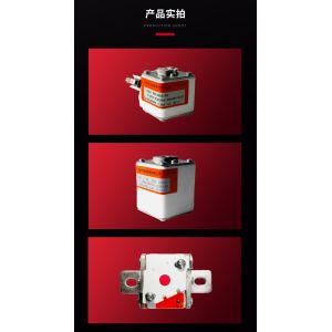 Melting Fast Semiconductor Protection Fuse RSG-1 / RSG-2 / RSG-A3-MK-ZK-PC-APK