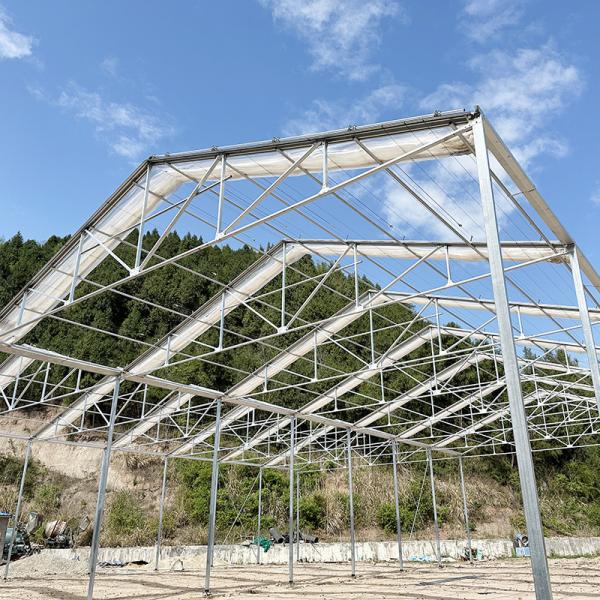 Single Layer Stable Structure Poly Tunnel Greenhouse for Agricultural Retractabl