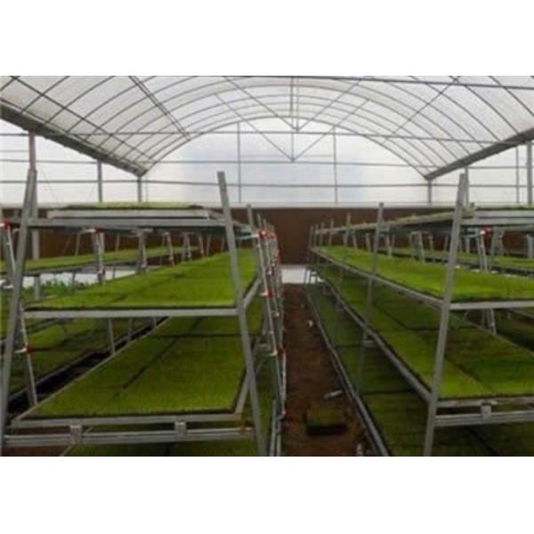 Buy cheap Custom Shaped Glass Seedling Greenhouse / Nursery Bed Breeding / Movable Seedbed from wholesalers