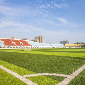 Buy cheap PE Artificial Turf  Grass Rug Premium Synthetic football Grass PP from wholesalers
