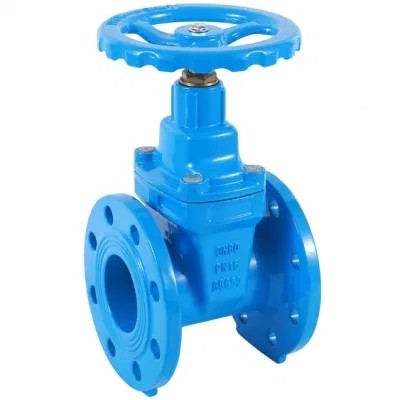 Water Control Stainless Steel Air Release Valve with Customizable Software