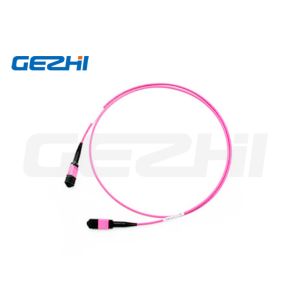 24F MPO(Female) - MPO(Female) 3.0mm LSZH Fiber Optic Patch Cord / Trunk Cable