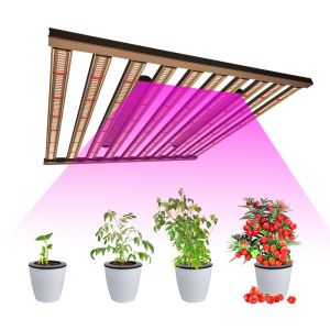 Buy cheap 1000w Lm301B LED Cannabis Plant Daisy Chain Grow Lights from wholesalers