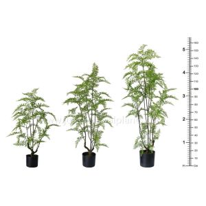 Buy cheap OEM ODM Plastic Fern Plants 100% Botanically Accurate Structure Waterproof from wholesalers