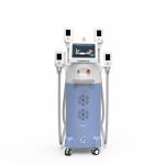 Buy cheap four different size handles cryolipolysis vacuum handles can work together criolipolysis fat removal machine cryo chille from wholesalers