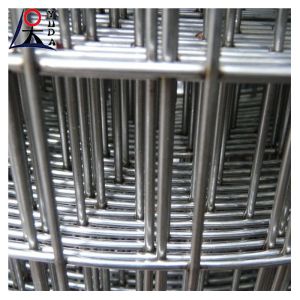 Buy cheap Galvanized Welded Wire Mesh Fence Roll 2x2 Fine Wire Diameter product