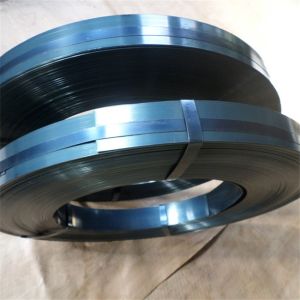 Buy cheap JIS G4802 S50C-CSP Blue Spring Steel Strips from wholesalers