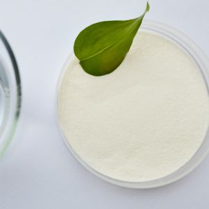 Buy cheap Konjac Root Extract Coffee Pudding Milk Chocolate Glucomannan Food Additive from wholesalers