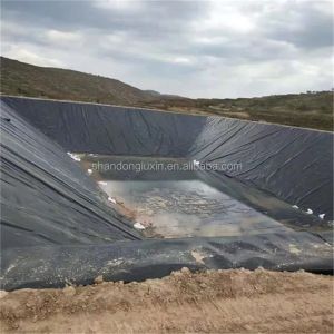 50m-100m Length HDPE Geomembrane Liner for Mining Reservoir Dam Fish Pond Shrimp