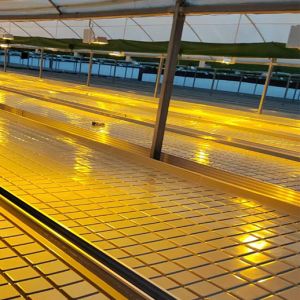 Buy cheap Practical Customizable Greenhouse Rolling Tables Movable Design Pc Sheet Cover from wholesalers