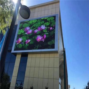Buy cheap P8mm P10mm Outdoor LED Advertising Display  with high contrast from wholesalers