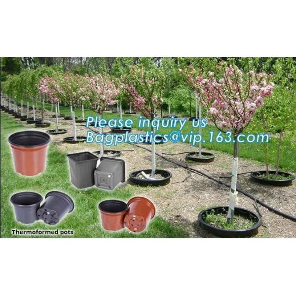 plastic pots for nursery plants clear orchid pots photo,1, 2, 2.5, 3, 5, 7, 10