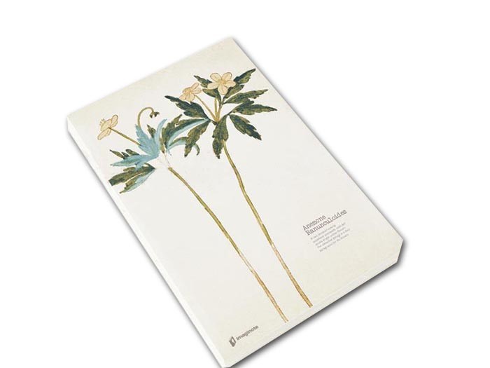 Buy cheap Custom Printing Brochures , New Designe Notebook Printing , Soft Cover Book from wholesalers
