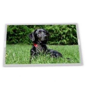 Buy cheap stock 15.0-Inch WLED Customizable LCD Display Module with 1024*768 Resolution ODM G150XVN01.0 Modules Compatible from wholesalers