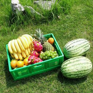 Buy cheap Mesh Foldable Plastic Shipping Crates For Agricultural Vegetable 600x400x220mm 40L from wholesalers