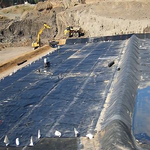 Buy cheap HDPE Plastic Waterproofing Anti-Seepage Geomembrane in Landfill Tailings Treatment from wholesalers