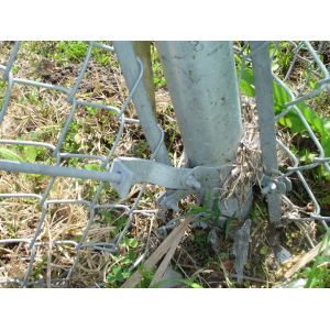Buy cheap chain link fence for the park and tree ,Hot Sale Chain Link Fence for Playground product