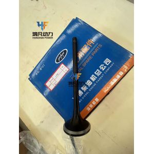 Zichai L250-03-031A Marine Diesel Engine Parts L250-03-004A Intake Valve Exhaust