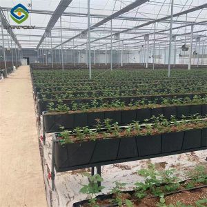 Buy cheap Rectangular Large Commercial Greenhouse Multispan Agricultural Greenhouse from wholesalers