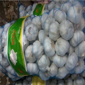 Buy cheap GARLIC WITH 20KG MESHBAG PACKAGE from wholesalers