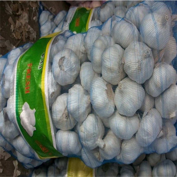 Quality GARLIC WITH 20KG MESHBAG PACKAGE for sale
