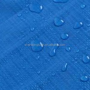Buy cheap Anti-UV Treated PE PP Tarpaulin Tent Waterproof Cloth Cover with High Density 6*6-16*16 from wholesalers