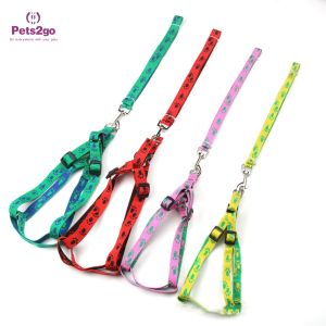 Buy cheap Padded Handle 120cm Nylon Dog Leash For Walking / Training from wholesalers