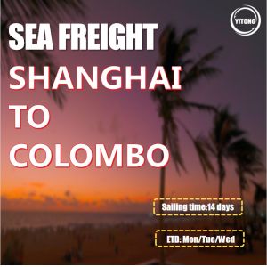 Buy cheap Sea Freight From Shanghai China to Colombo Sri Lanka from wholesalers
