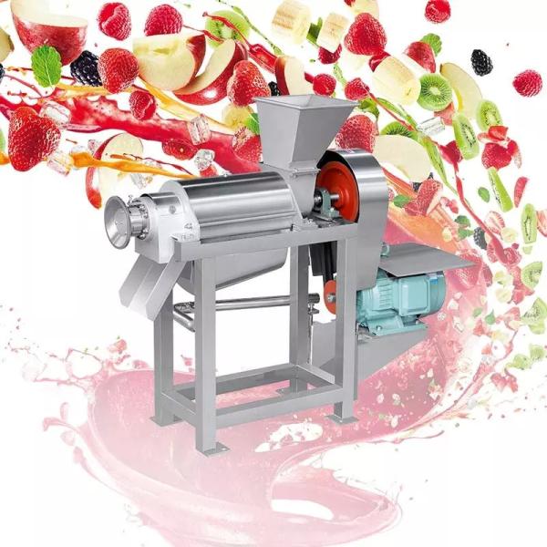 Quality Pineapple Press Tomato Mango Extract Pulp Pulper Coconut Milk Fruit Juice Extractor Machine for sale