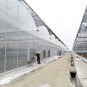 Buy cheap Cooling System Poly Multi Span Greenhouse Automatic For Vegetables from wholesalers