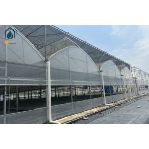 Buy cheap Multi Span Herb Greenhouse Farming UV Resistant With Hydroponic System from wholesalers