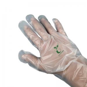 Buy cheap 100% Compostable Gloves, Cornstarchgloves, Food Service Disposable Gloves, Food Prep Cooking Gloves, Eco-Friendly product
