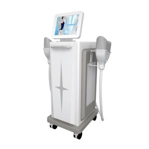 360 Weight Loss Cryolipolysis Slimming Machine Portable Sincoheren