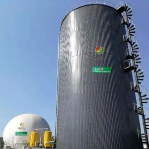 Anaerobic Digester Design Digester Tank Wastewater Treatment