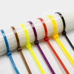 Custom Hot Runner Plastic Products Molding With Extrusion Cable Tie/Injection