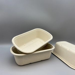 Biodegradable Sustainable Bagasse Sugarcane Clamshell Box With Lid
