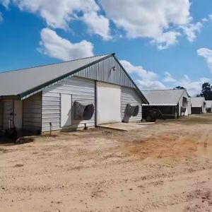 Buy cheap Prefab Steel Structure Chicken House Building , Light Steel Fabricated Building from wholesalers