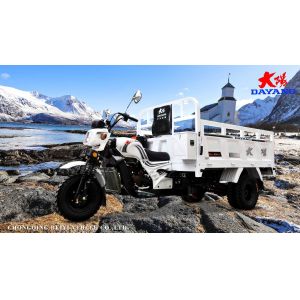 Buy cheap 200cc/250cc/300cc Three Wheel Motorcycle Tyre 5.00-12 Steel for High Loading Capacity from wholesalers