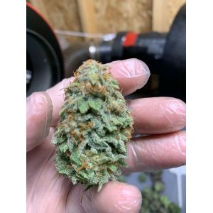 Buy cheap 576pcs LEDs 395nm Quantum Board Led Grow Lights from wholesalers