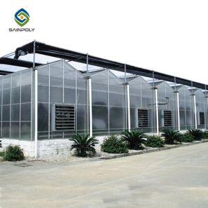 Buy cheap 9.6m PC Sheet Greenhouse from wholesalers