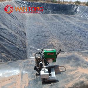 Modern Design Style 1mm HDPE Geomembrane Liner Customized for Tunnel Lining
