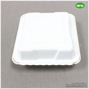 Buy cheap Green And Energy 8*8 And 9*9 Inch1-Compartment, Compostable Clamshell, Natural Bagasse Take-Out/To-Go Food Boxes from wholesalers