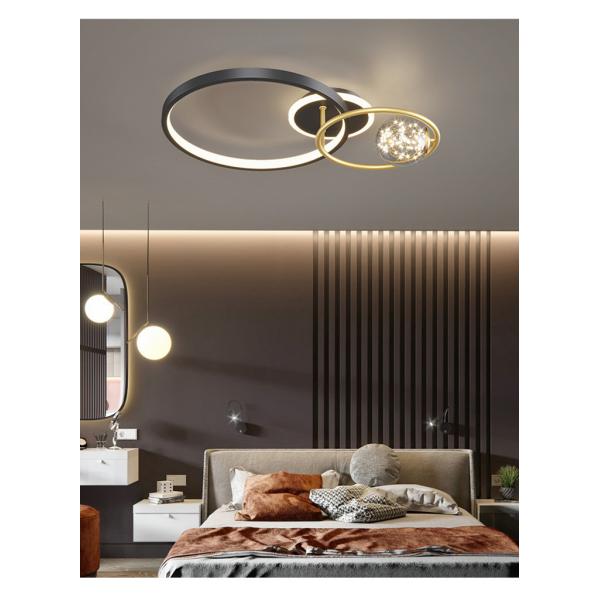 Modern Simple Round Led Ceiling Light Minimalist Living Room Bedroom Black Gold Ceiling Light(WH-MA-284)