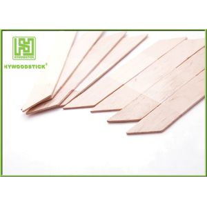 Buy cheap Biodegradable Small Wooden Spatula , Rhombus Shape Hair Removal Spatula from wholesalers
